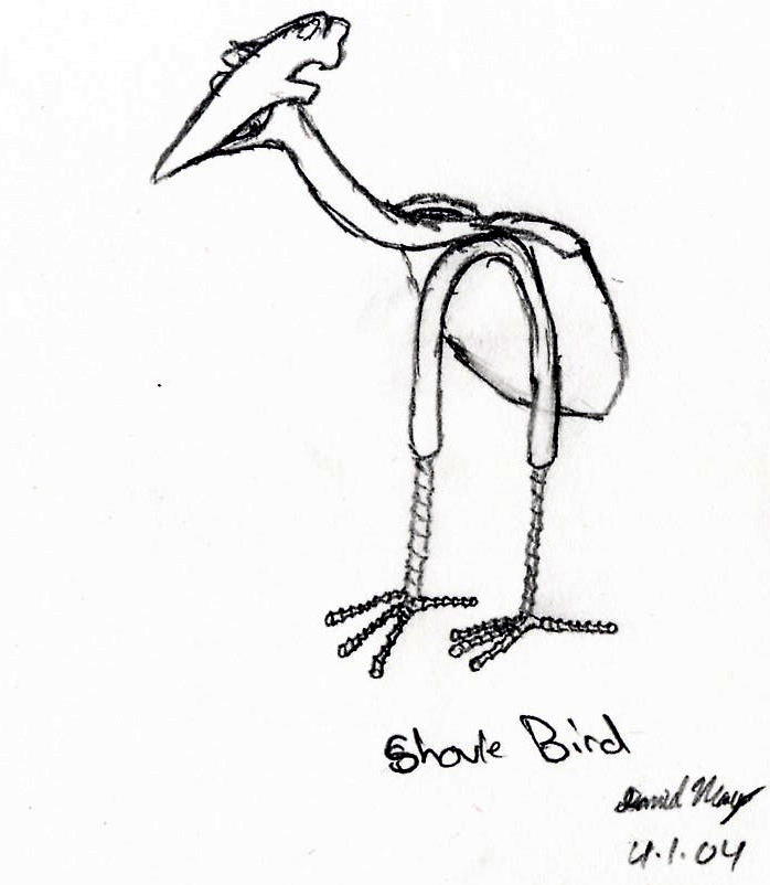 Shovelbird